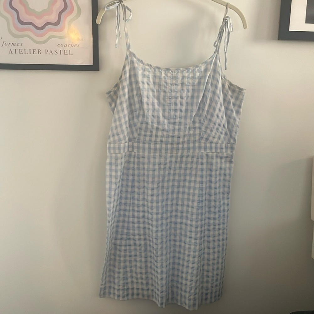 Madewell Blue Gingham Cotton Mini Dress